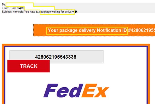 package-waiting-for-delivery-fedex-phishing-spam-rusia-29022024